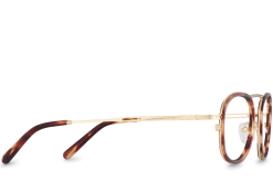 Ken -Polette Eyeglasses Sales ken tortoise side copy