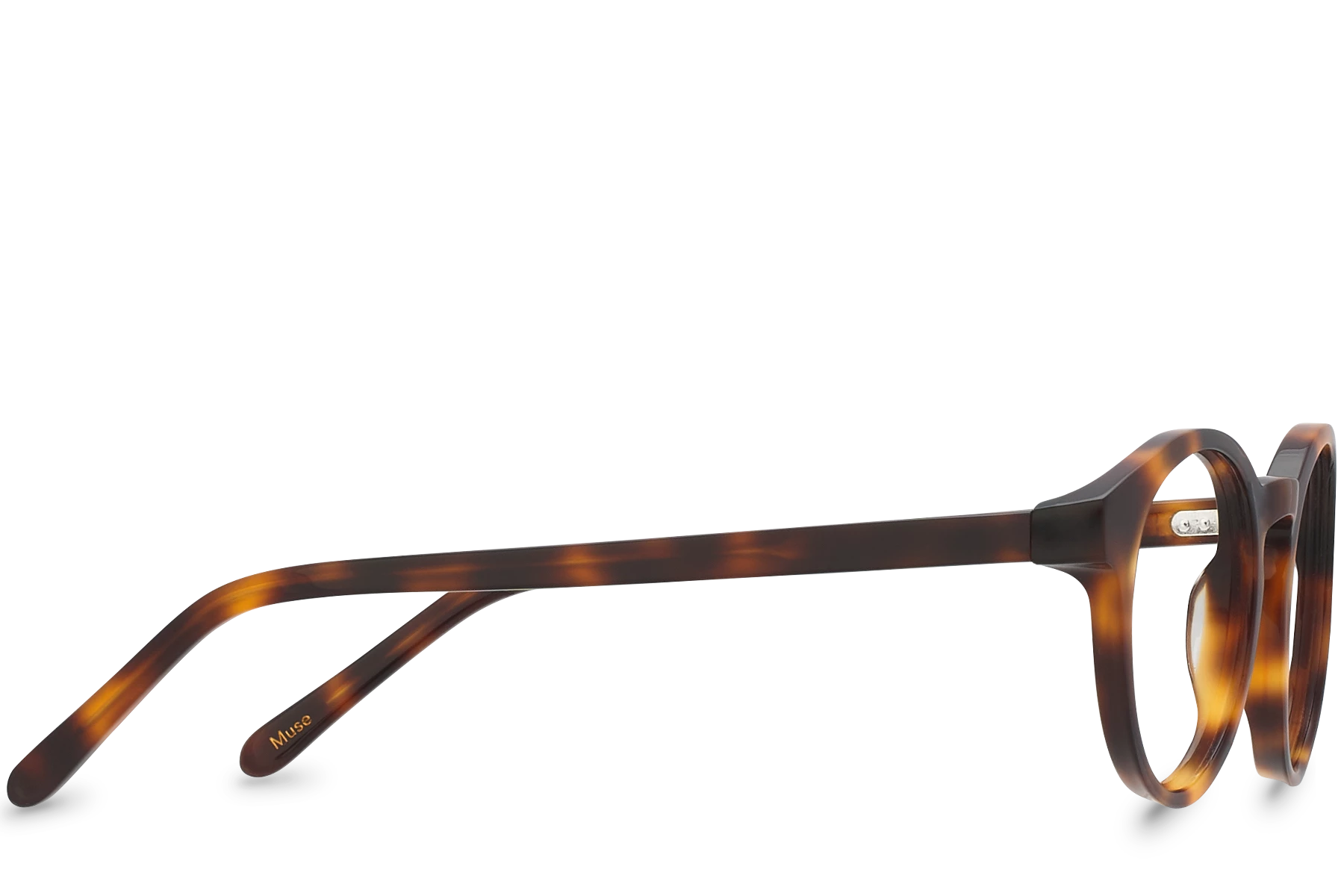 Muse Brown Muse Brown -Polette Eyeglasses Sales muse tortoise adult brown side copy