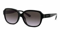 Coach HC8298U Black