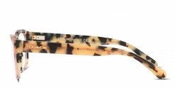 Coach HC6116 Beige/Tortoise -Polette Eyeglasses Sales w1280h1280 2843