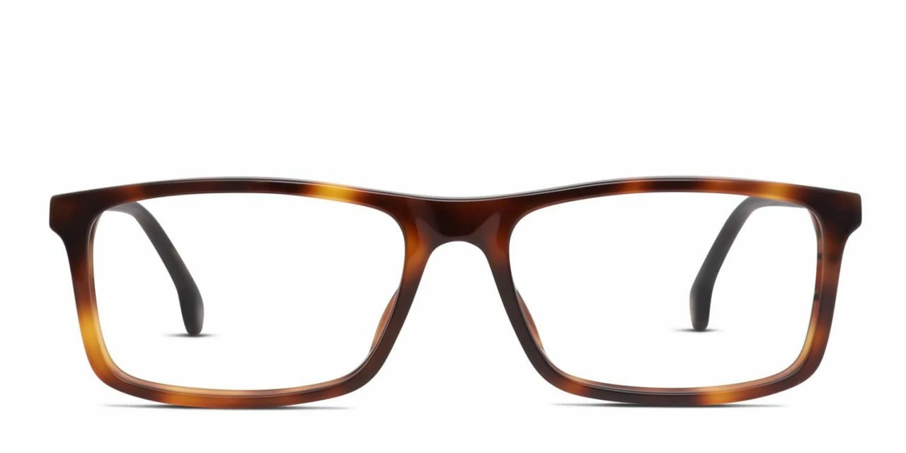Carrera 175/N Tortoise Carrera 175/N Tortoise -Polette Eyeglasses Sales w1280h1280 3089
